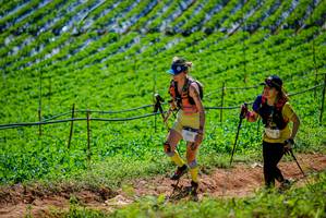 BIB: 
                            <button type="button" onclick="openModal(19164308)" class="btn btn-primary btn-sm float-right btn-popup" data-toggle="modal" data-target=".modal-high-quality">
                        <i class="fas fa-shopping-cart"></i> Add to Cart
                    </button>
                                            <button type="button" onclick="isThisMe(19164308, true)" class="btn btn-success btn-sm float-right btn-popup btn-isme hidden" data-toggle="tooltip" data-placement="bottom" title="นี่คือรูปของคุณใช่ไหม คลิกที่นี่เพื่อเอาเข้าอัลบั้ม">
                        <i class="fas fa-plus"></i> Add to album
                    </button>
                    <button type="button" onclick="isThisMe(19164308, false)" class="btn btn-warning btn-sm float-right btn-popup btn-isnotme hidden">
                        <i class="fas fa-ban"></i> Remove from album
                    </button>